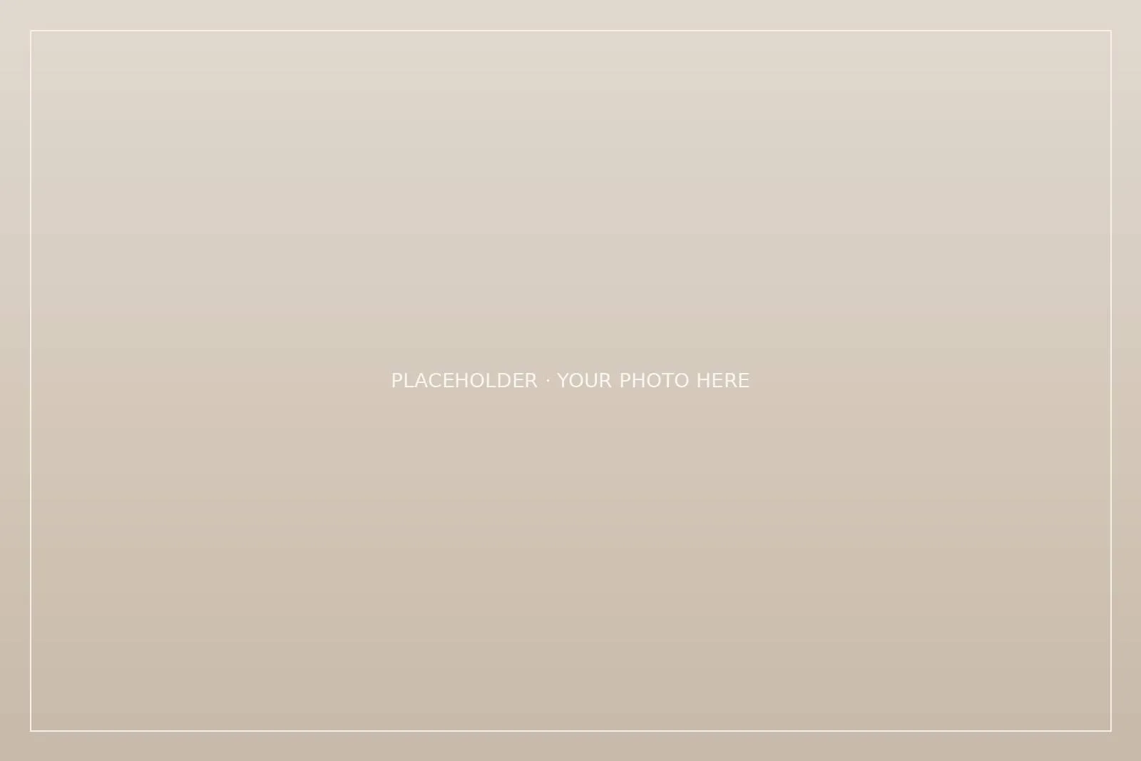 [Describe this photo]