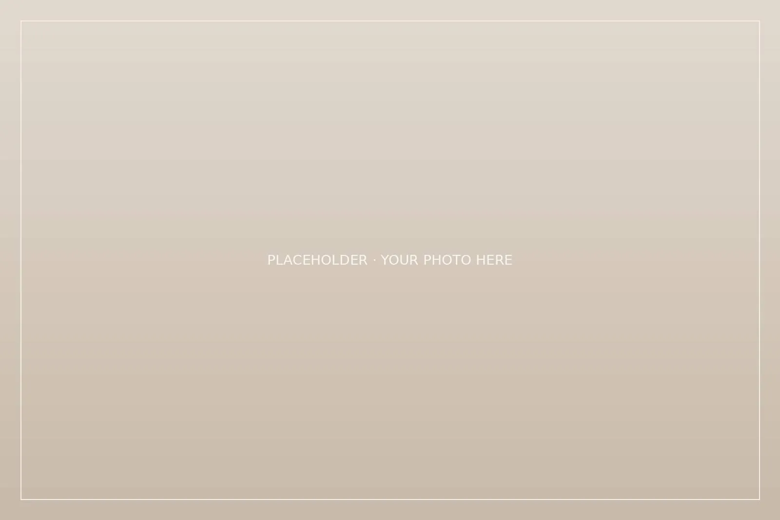 [Describe this photo]