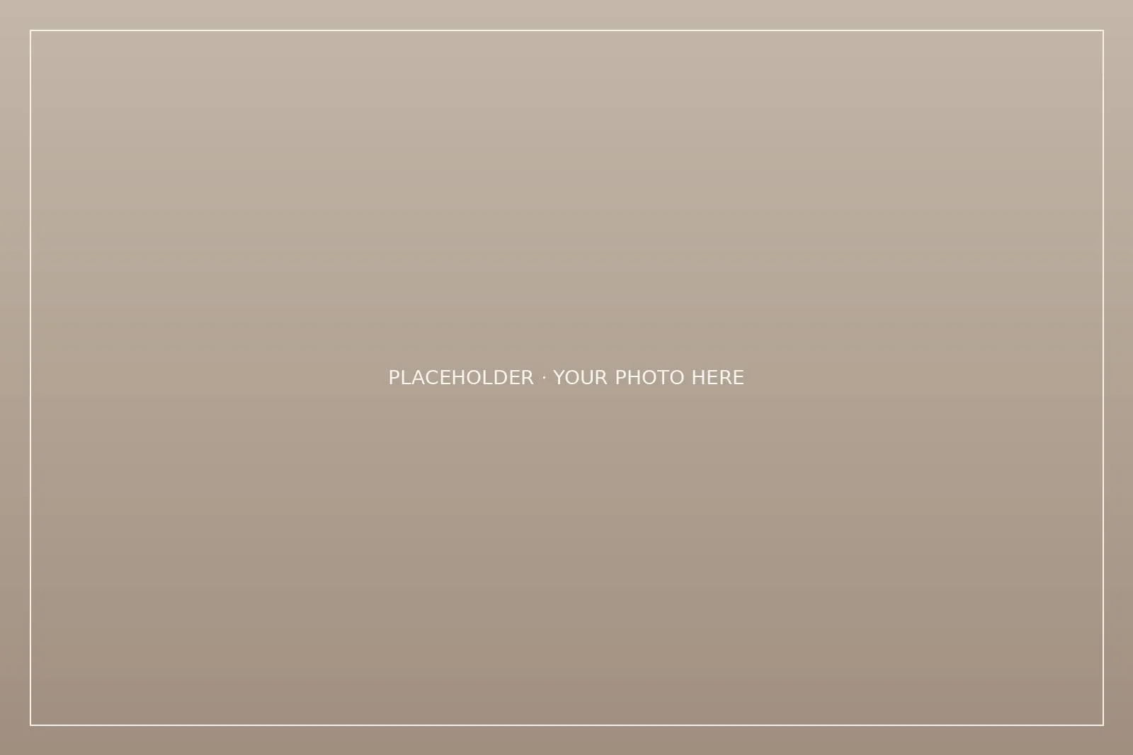 [Describe this photo]